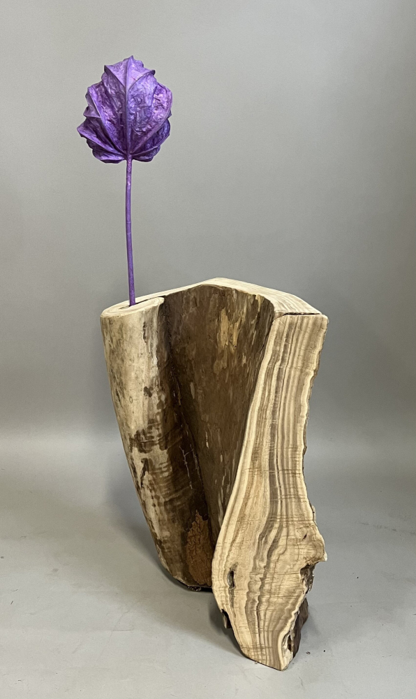 Purple Paulownia leaf and Paulownia stump